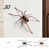 Iron Surface Decorative Gadgets Realistic 3D Spider Refrigerator Magnet, Insect Magnet for Kitchen Fridge Office Whiteboard Magnets Whiteboard,