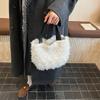Niche High-end Handbag Small Bag Women's 2025 New Autumn and Winter Plush Bag Fashionable Simple Handbag