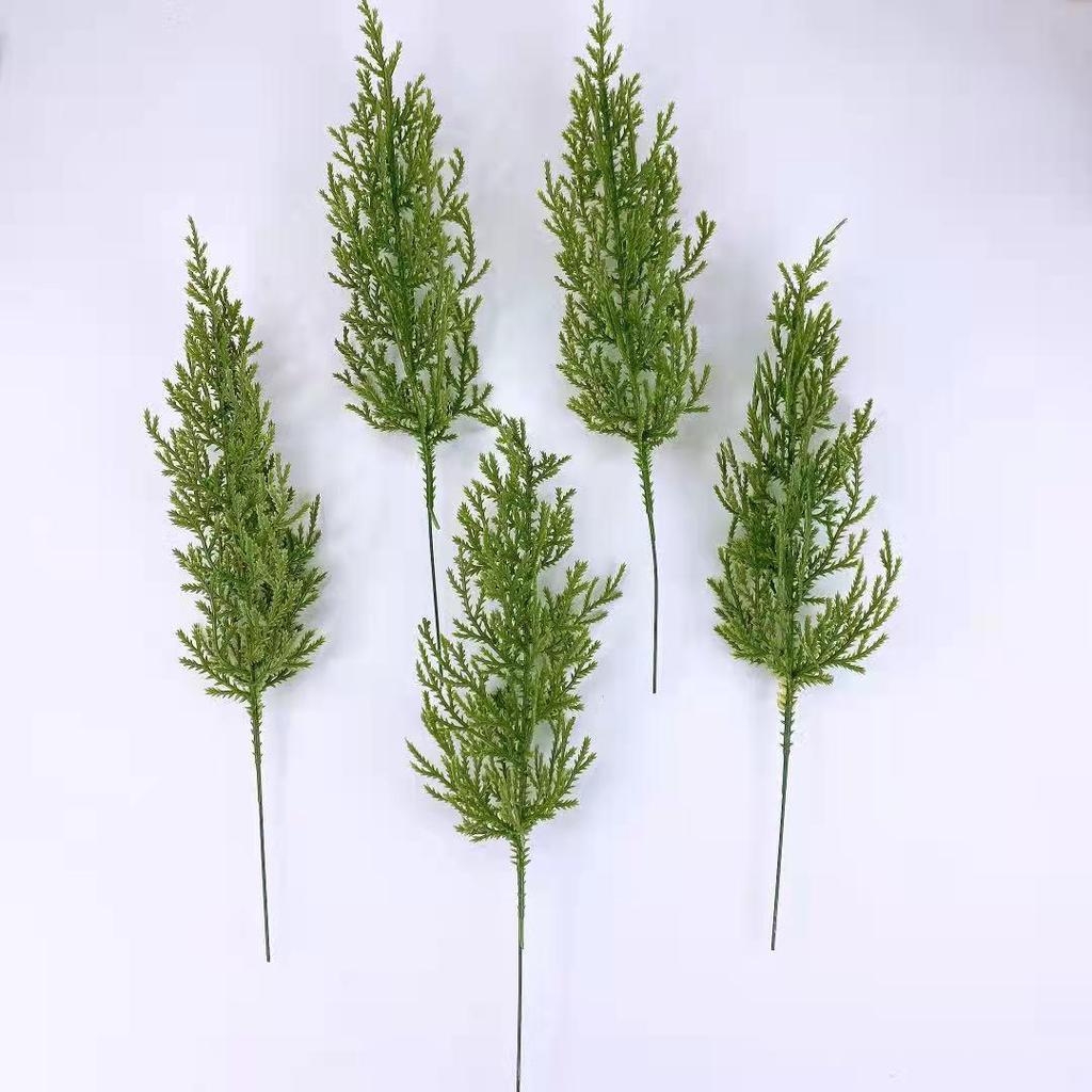 Natural Dried Pine Cones for Christmas Tree Decoration, Photography Props, Floral Wreaths, and Bouquets.