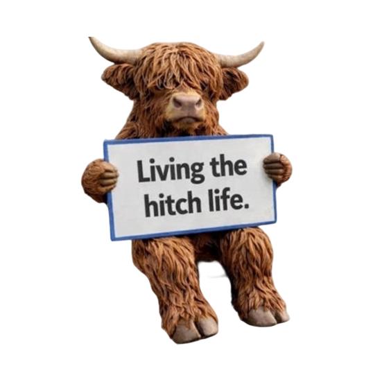 

Highland Cow Hitch Buddy Resin Highland Cattle Tow Hitch Cover Weather Resistant Pickup SUV Truck Vehicle Hitch Decoration Ornament Size#42