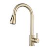 TLXT Stainless Steel Pull-Out Kitchen Faucet
