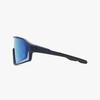 Goggles Sunglasses (FLG7049M MATTNAVY 133)