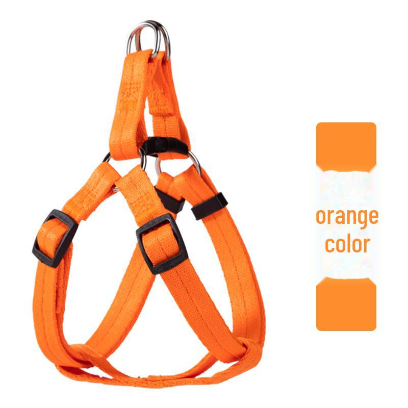 Hundekettenleine mit einem Riemen: Kleine Hundeleine im Westenstil für Corgis