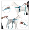 High Elasticity Double Handle Dog Tactical Leash Explosion-Proof No Tangle Outdoor Training Walking Nylon Dog Leashes Dogs Items