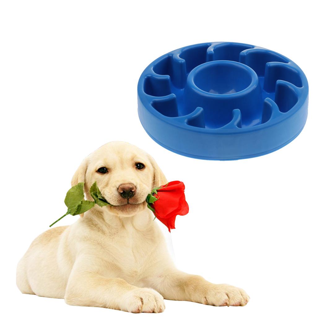 retriever rotating feeder bowls