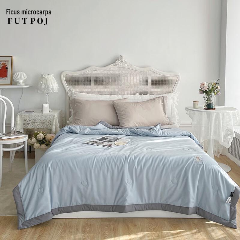 Queen Embroidered Polyester Summer Quilt