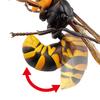 Kaiyodo Rebogio Giant Hornet, Approximately 180mm In Length, PVC & ABS, Painted, Movable Figure, Resale, RG004S