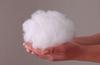 Danfill Fiber Pillow with Premium Satin Pillow Cover, White, Standard Size (JPA221-AKF01G)