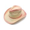 Outdoor Seaside Sunshade Spray Paint Western Cowboy Hat Straw Hat Big Edge Jazz Hat