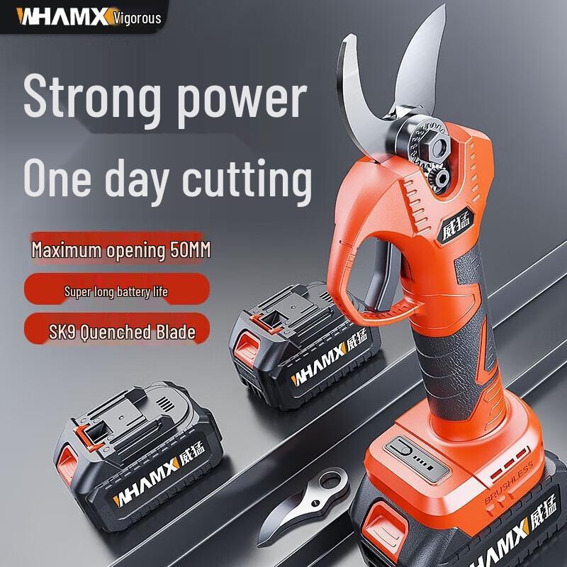 Professional Cordless Electric Pruning Shears CN plug (adapter included)