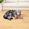 Nepfaivy USB Interactive Cat Bird 3 Movement Modes with Catnip