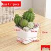 MOJY Thickened Plastic Succulent Flower Pot