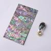 C90A Aesthetic Sticker for Scrapbooking Abalone Shells Sticker Sheet Adhesive