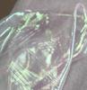 High-Density Iridescent Seven-Color Organza Fabric for Wedding and Stage Costumes