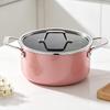 Deslon Enamel Cast Iron Dutch Oven