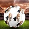 Cute Puppy Indoor Size 5 Soccer Ball Colorful Machine Stitched PVC Competition Ready Durable High-Bounce