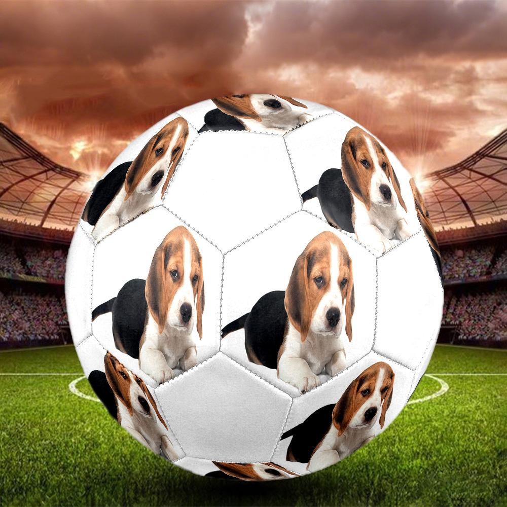 Cute Puppy Indoor Size 5 Soccer Ball Colorful Machine Stitched PVC Competition Ready Durable High-Bounce