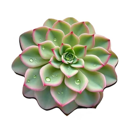 

3D Квітковий Плейсмат Діатомітова Земля Абсорбуючий Обідній Мат Термостійкий Реалістичний Квітковий Плейсмат для Обіднього Столу Кухонної Стільниці Декор для Столу 30cm ціан