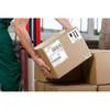 True-Ally Direct Thermal Barcode Labels Stickers - 4"" X 6"" (4 X 6 Inches -250 Label Per Dt Roll) Used For Printing