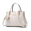 2023 New Fashion Women's Handbag Big Bag Korean Style Shoulder Crossbody Bag Simple Urban Minimalist Pu Bucket Bag