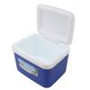 5L Cooler Box Portable Insulin Cooler Box Home Camping Portable Refrigerated Food Cooler Blue