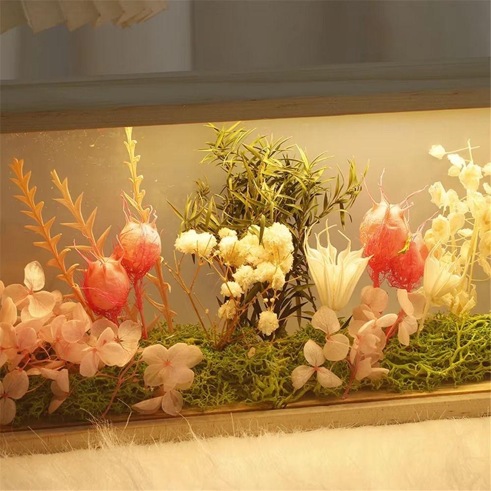 Creative Shadow Box Frame DIY Doll Display Stand LED Light Photo Frame  Office Decoration