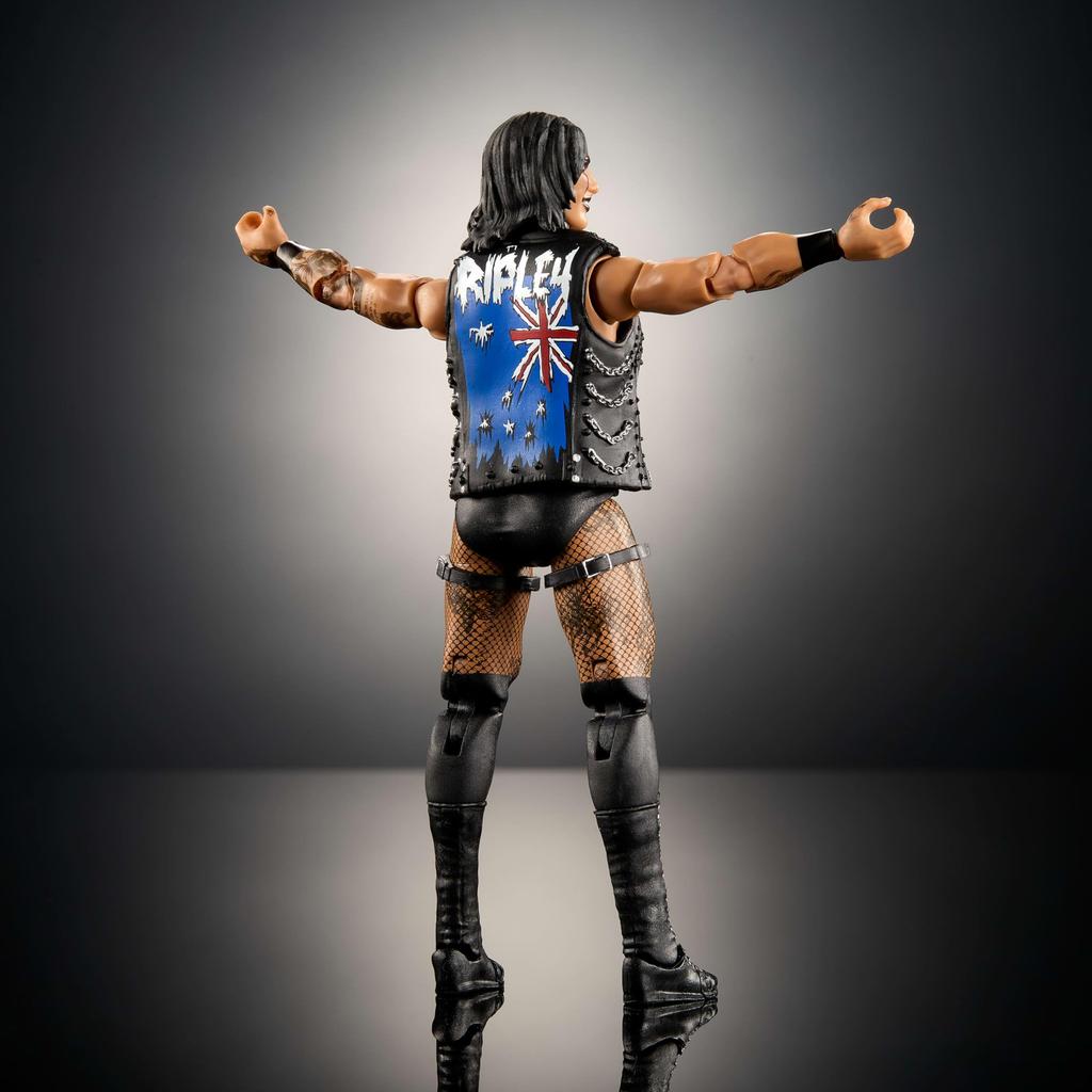 Mattel WWE Elite Action Figure Series Rare Collectible Figure with 25 Articulation and Interchangeable Needles & Accessories, #117 6-inch