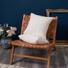 Imitation Bunny Velvet Double-sided Corn Kernel Cut Velvet Pillow Case Living Room Sofa Fluffy Soft and Cushion Cover