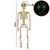 Halloween 60cm Human Skeleton Decoration for Haunted House Festival Props