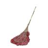 Moli Outdoor Leaf Sweeping Broom