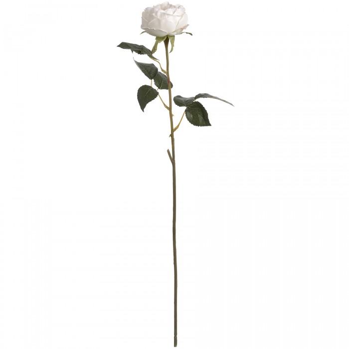 Hill Interiors Pink/White Artificial Austin Rose One Size