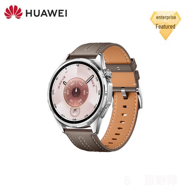 

Смарт-часы HUAWEI WATCH GT 6 (Китайская версия)