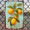 2D Flat - Vintage Lemon Branch Metal Sign - Rustic 8x12 Inch Wall Art with Realistic Lemons & Dappled Background, Perfect for Li