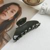Gold Standard Morandi Color Hairpin, Simple High-Grade Acetic Acid Grab Clip, Back Of Head Hair Disc, Shark Clip