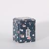 European Pastoral Style Mini Iron Box Easy-Carry Tin Cans Portable Tea Packaging Box