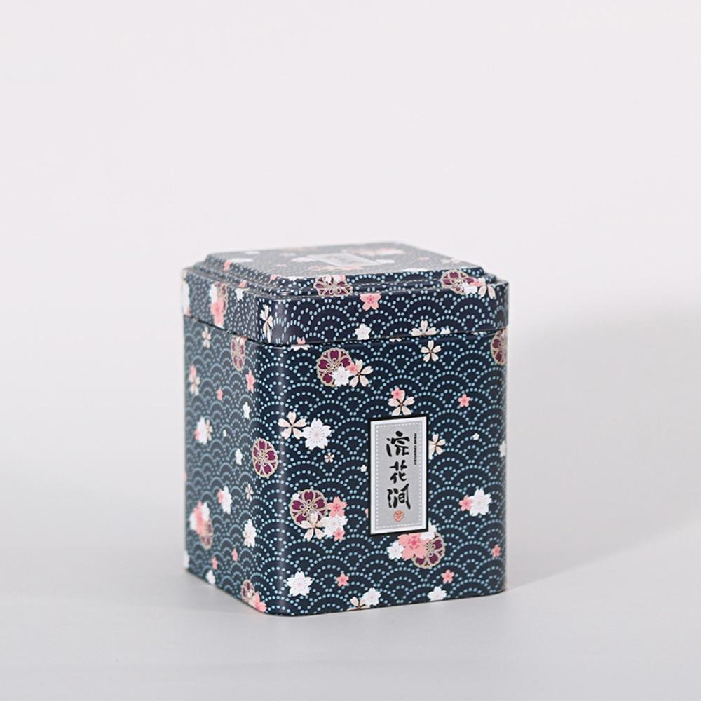 European Pastoral Style Mini Iron Box Easy-Carry Tin Cans Portable Tea Packaging Box