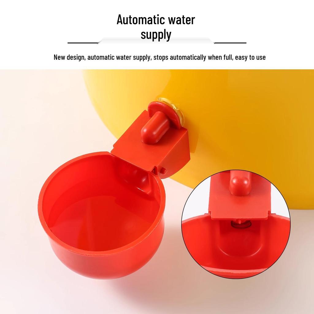 Newcomer Exclusive: Automatic Poultry Drinker for Pigeons & Chickens