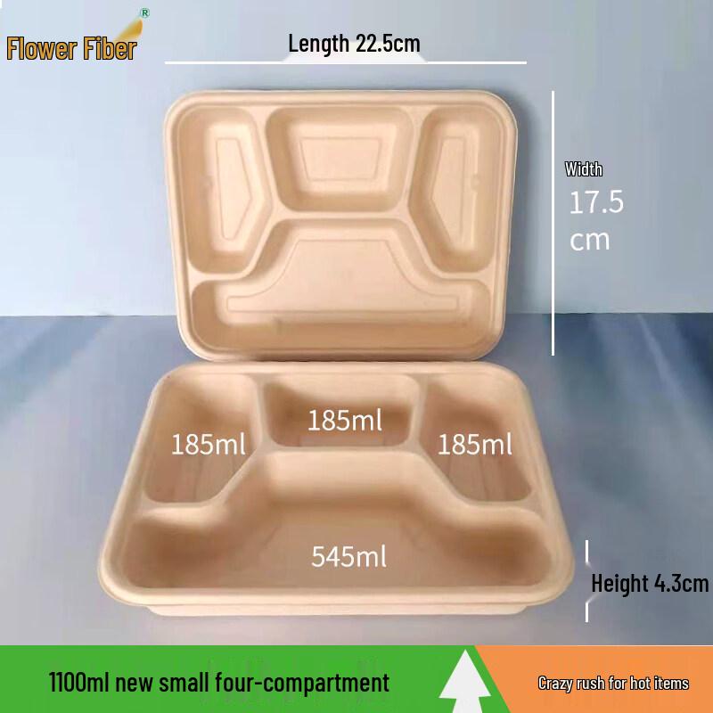 ZISIZ Disposable Compartment Lunch Box