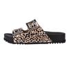 Zaxy Womens/Ladies Leopard Print Double Buckle Sliders
