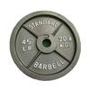 Commercial Four-Rib Olympic Weightlifting Barbell Plates - Large Hole Cast Iron