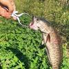 Anglers Essential Stainless Steel Fish Mouth Spreader Fishes Lip Grabber Fish Mouth Opener For Effective Hook Retrieval