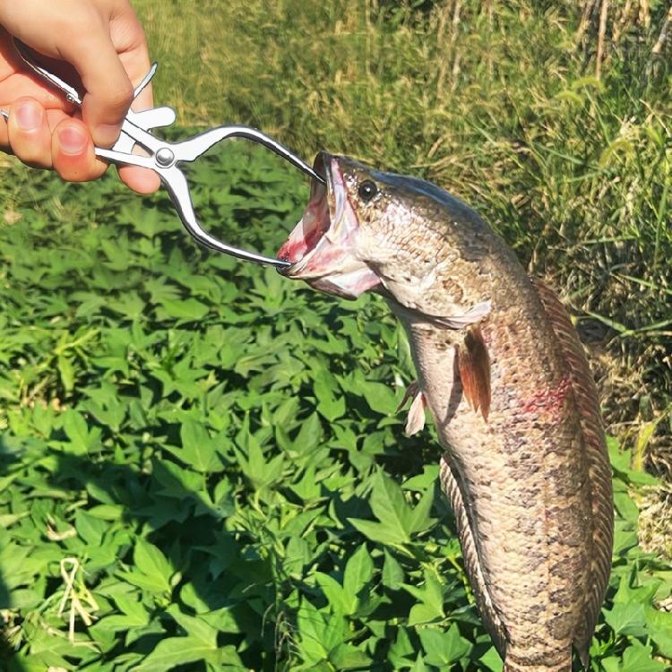 Anglers Essential Stainless Steel Fish Mouth Spreader Fishes Lip Grabber Fish Mouth Opener For Effective Hook Retrieval