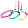 Rainbow Color Polyester Pet Leash with Colorful Neck Strap, 1.0*120cm