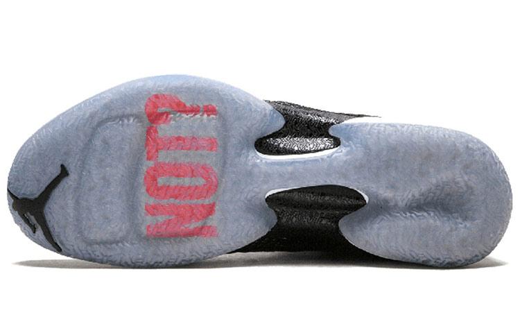 Jordan XXX1 Warum nicht? Zement AA9794-003