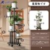 Scheibenblumen-Tablett Wohnzimmer Balkon Grüner Dill Blumentopf Blumenständer mit Rollenständer Innen Einfach zu Einfach zu Bewegen Ständer, 5-stufige Lagerung, Ständer,