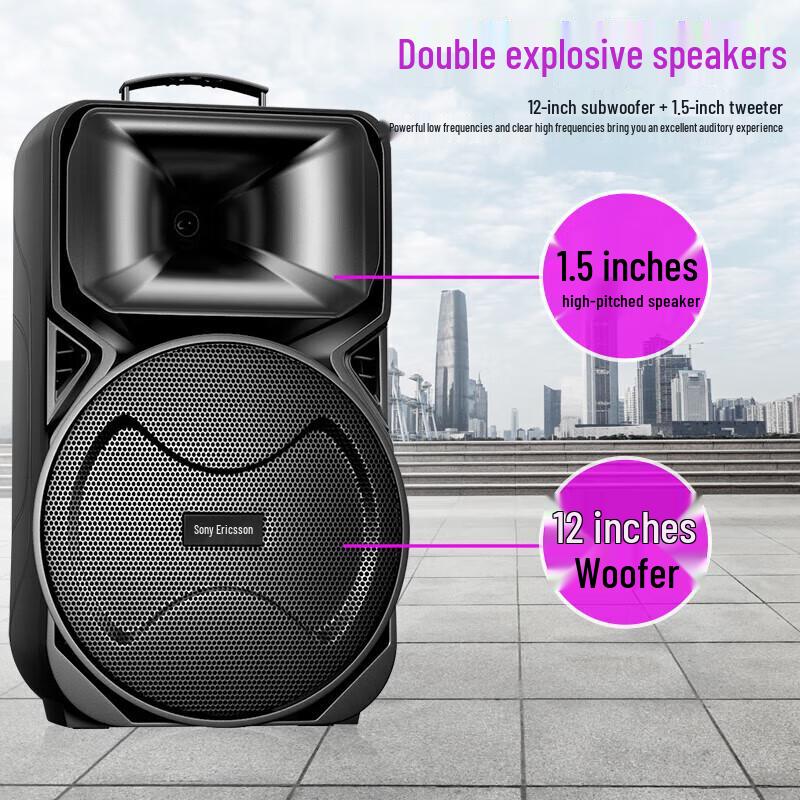 Souai SA-X81 Portable Outdoor KTV Speaker
