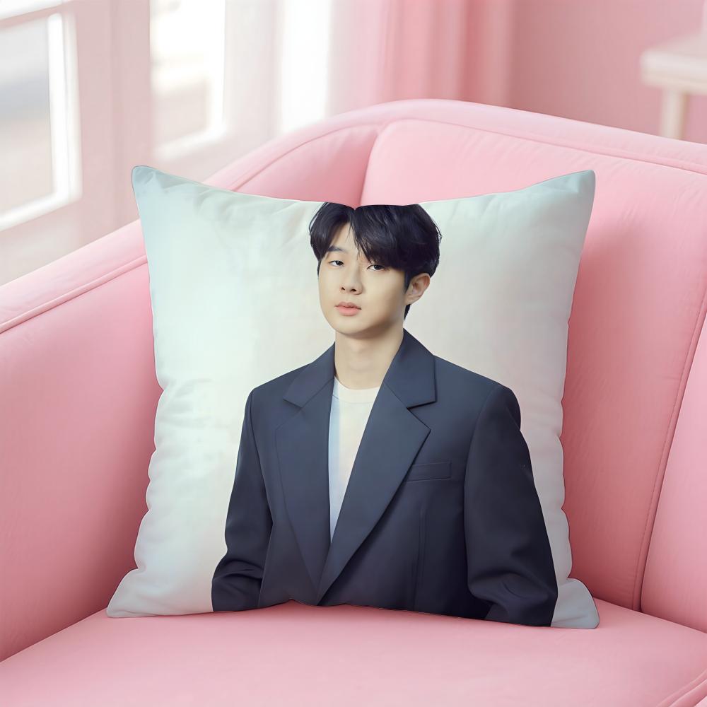 

Talented Korean Actor CChoi Wooshik Cushion Cover Pillowcase Short Plush Invisible zipper Room Sofa Cushion Cover 30X30cm