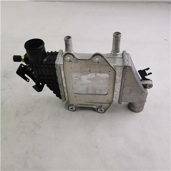 Raffreddatore d'aria a raffreddamento ad acqua Foton, Modello PV10005988
