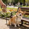 Dog Leash For Small Dogs Cat Automatic Retractable Durable Nylon Lead Puppy Outdoor Travel Walking Hiking Traction Rope