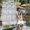 Retro Chinese Calligraphy Curtain 3 Colors Photography Backdrop  Photo Studio
